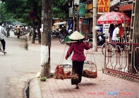 Foto Vietnam