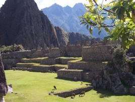 Machu Picchu2