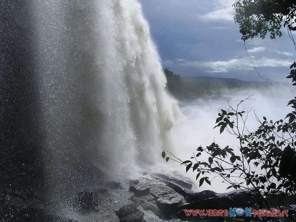 Salto Sapo