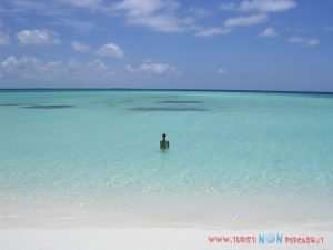 Escursione a Francisquí Los Roques mare turchese Escursione a Francisquí Los Roques mare turchese