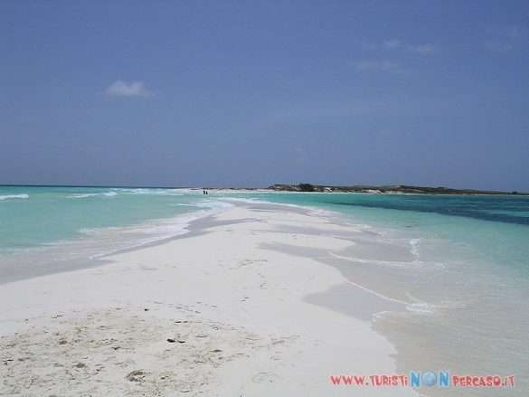 Spiaggia di Cayo de Agua Los Roques Venezuela