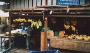 Perhentian e Malesia