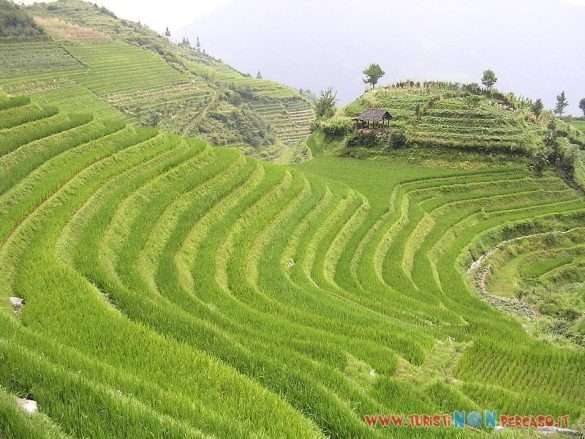 Cina Guilin