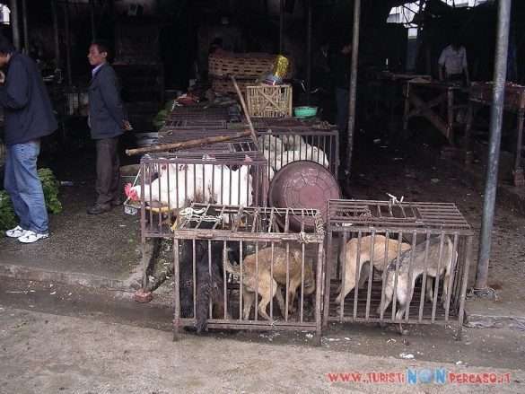 Lijiang