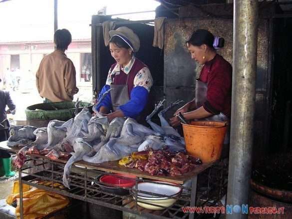 Lijiang
