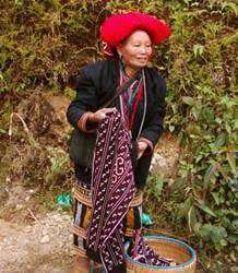 Vietnamita