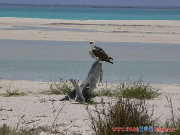 Cayo Largo