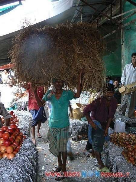 Foto India