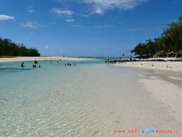 Spiaggia di Mauritius con palme e acqua cristallina