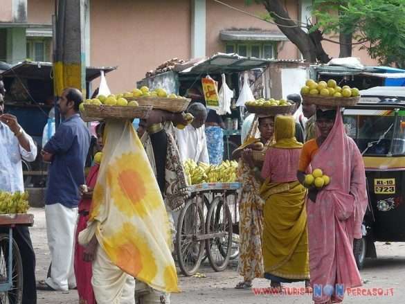 India Mysore