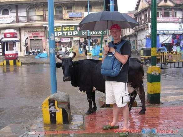 India Mysore