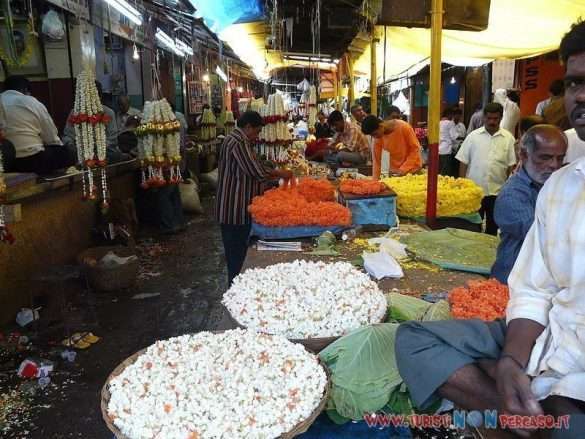 India Mysore