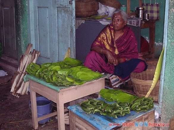 India Mysore