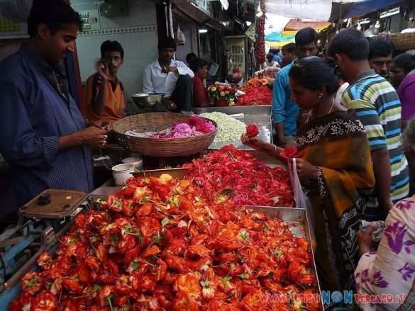 India Mysore