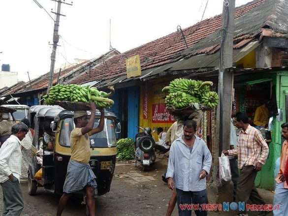 India Mysore