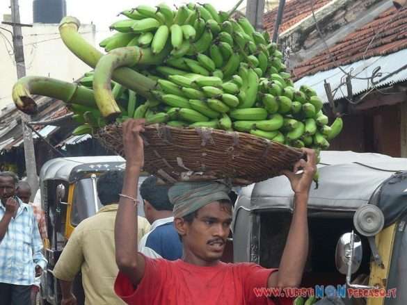India Mysore