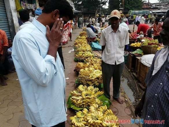 India Mysore