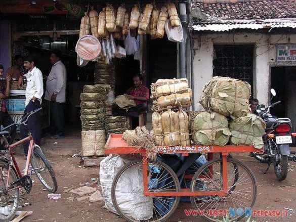 India Mysore