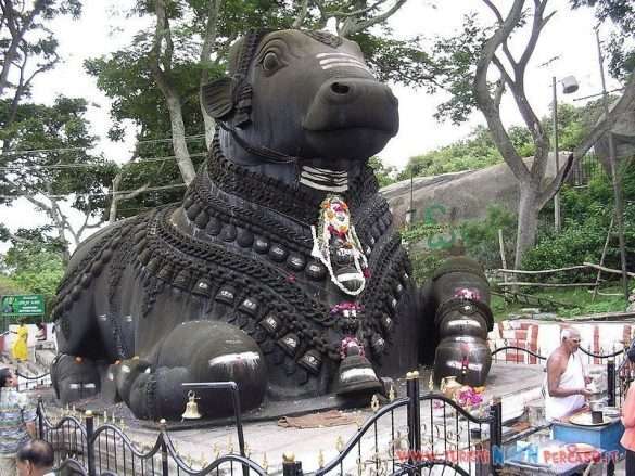 India Mysore