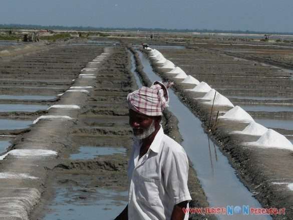 India Puducherry