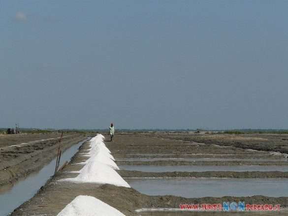 India Puducherry