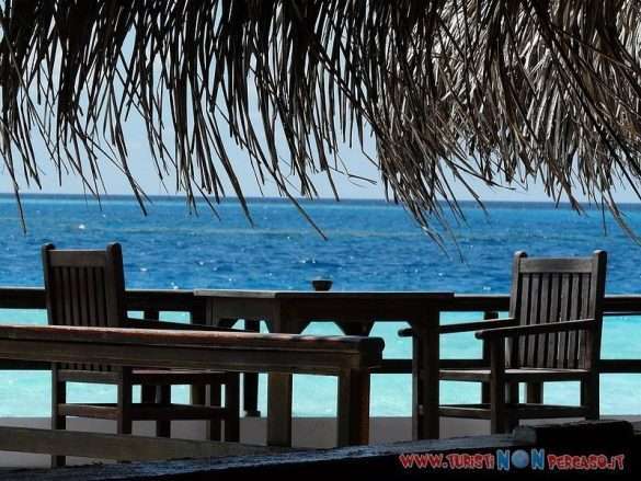 Maldive Makunudu