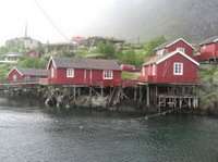 Scandi9