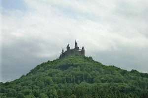 Foresta castello