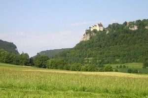 Foresta