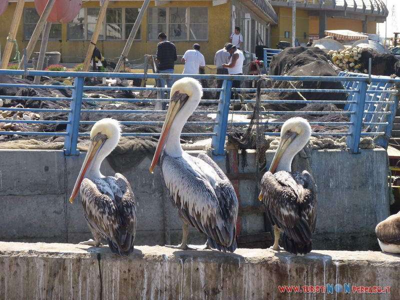 La Serena Cile – faro, spiaggia e lungomare