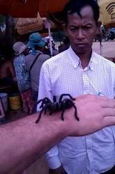 Cambogia Laos