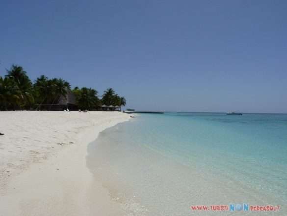 Foto Maldive Alimatha