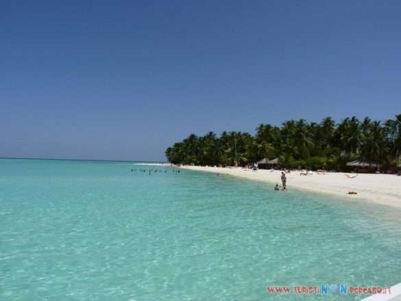 Foto Maldive Alimatha