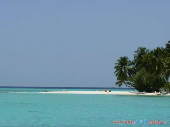 Maldive Alimatha