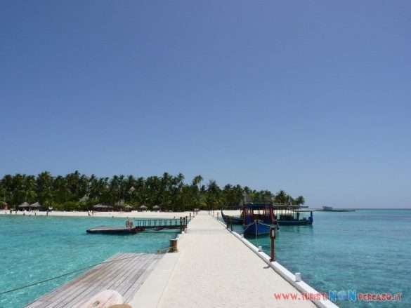 Maldive Alimatha