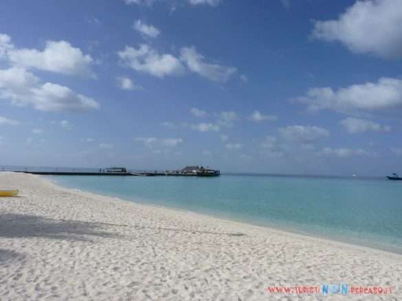 Maldive Alimatha