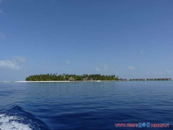 Maldive Alimatha