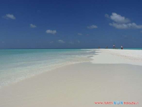 Maldive Alimatha