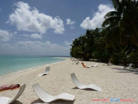 Maldive Alimatha