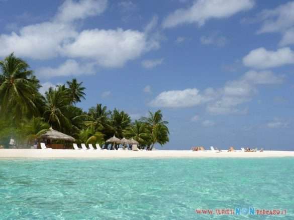 Maldive Alimatha