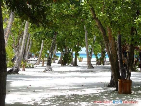 Maldive Alimatha