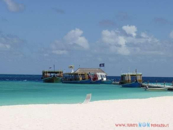 Maldive Alimatha