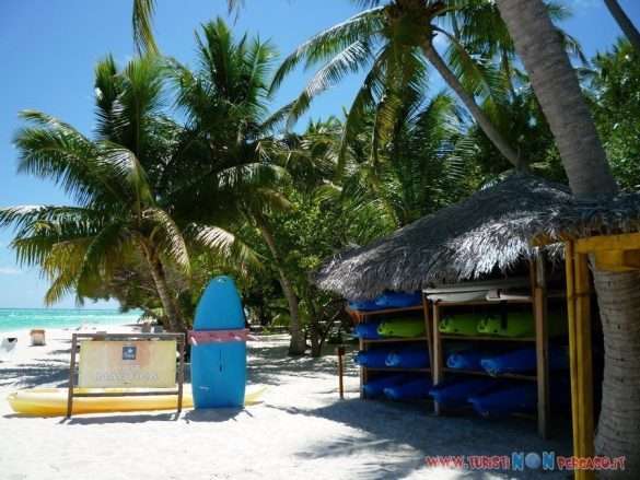 Maldive Alimatha
