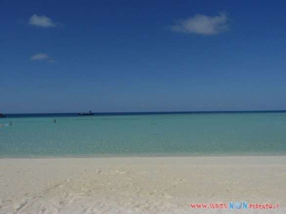 Maldive Alimatha