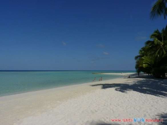 Maldive Alimatha