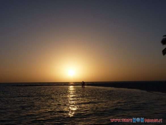 Maldive Alimatha