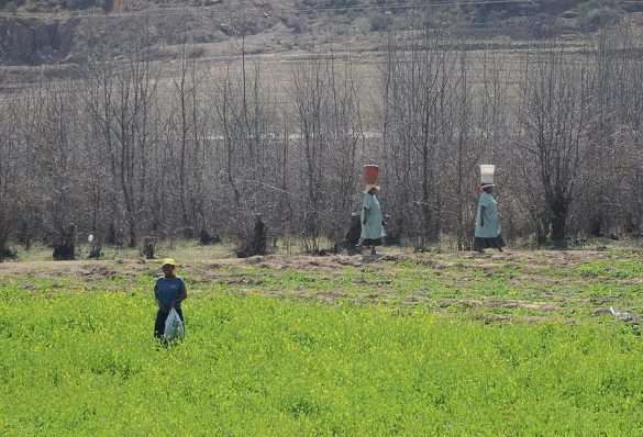 Sud Africa Lesotho
