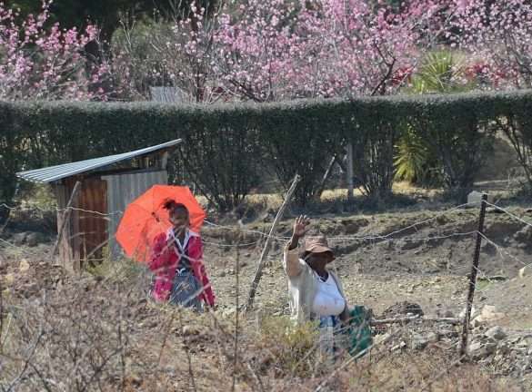 Sud Africa Lesotho