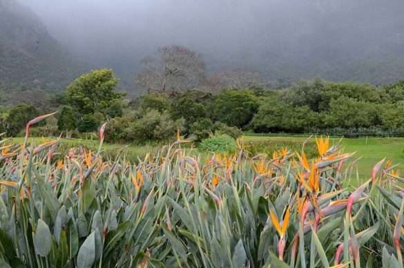 Foto Sud Africa