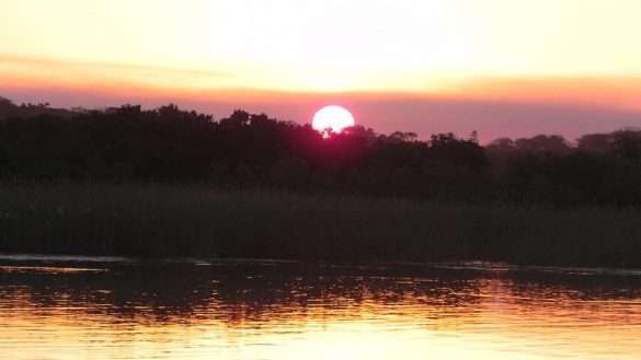Foto Sud Africa